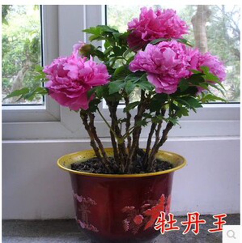洛阳魁海商贸有限公司：深耕批发零售贸易，打造一站式商品购销渠道